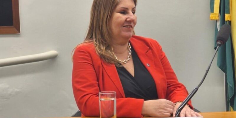 Na imagem, há uma mulher sentada atrás de uma mesa em um ambiente que parece ser uma sala de conferências ou reunião. Ela está usando um blazer vermelho e tem cabelos castanhos médios. A mulher está sorrindo e parece estar falando ou ouvindo alguém. Na frente dela, há uma placa com o nome "NAIRA RODRIGUES GASPAR" e o título "Diretora dos Direitos da Pessoa com Deficiência - MDHC". Há também um microfone à sua frente e um copo de água sobre a mesa.