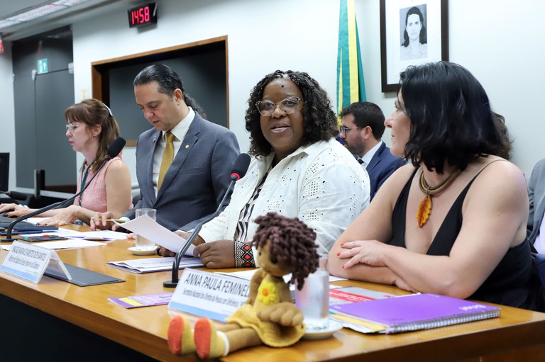 A imagem mostra uma reunião em uma sala de conferências com várias pessoas sentadas em uma mesa. No centro, uma mulher negra com óculos fala ao microfone. Ao redor dela, há outras pessoas, incluindo um homem de terno e duas mulheres. Na mesa, há uma placa com o nome "Anna Paula Fernandes" e um boneco de pano. Ao fundo, há uma bandeira do Brasil e um retrato de uma mulher. Um relógio na parede marca 14:58.