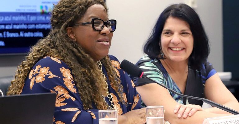 Duas mulheres estão sentadas em uma mesa de reunião. À esquerda, a Ministra Macaé Evaristo, mulher negra de óculos e cabelo cacheado, fala ao microfone sorrindo. Ao lado dela, a secretária nacional Anna Paula Feminella, mulher de pele clara e cabelo preto, também sorri. Ambas parecem participar de um evento formal, com copos de água e placas de identificação sobre a mesa.